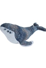 Humpback Whale