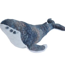 Humpback Whale Humpback Whale