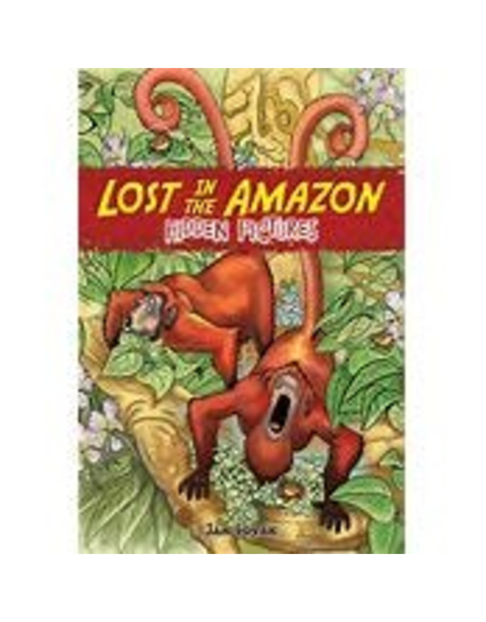 Lost in the Amazon Hidden Pictures