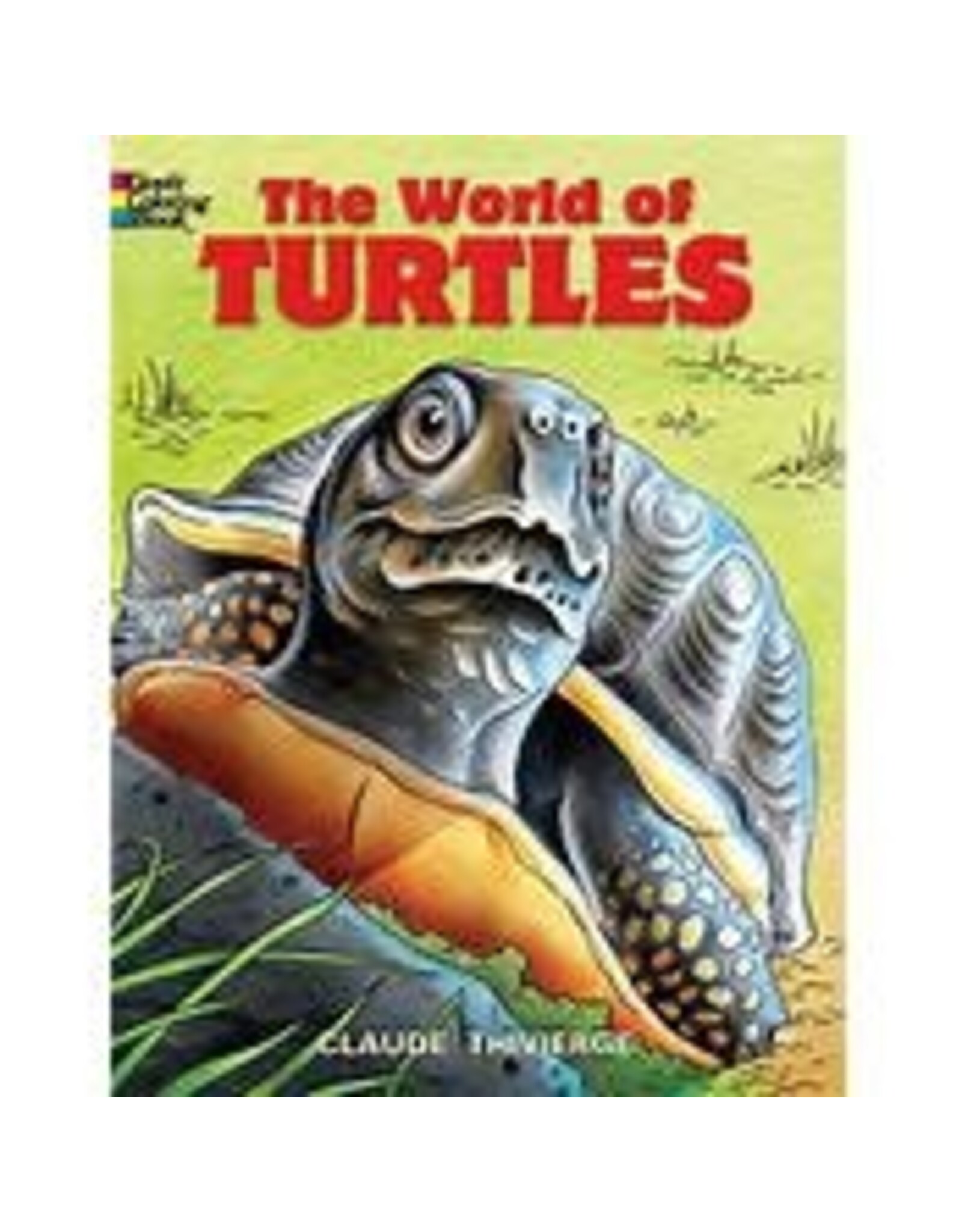The World of Turtles Colroing Book