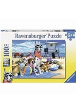 No Dogs on the Beach 100 pc