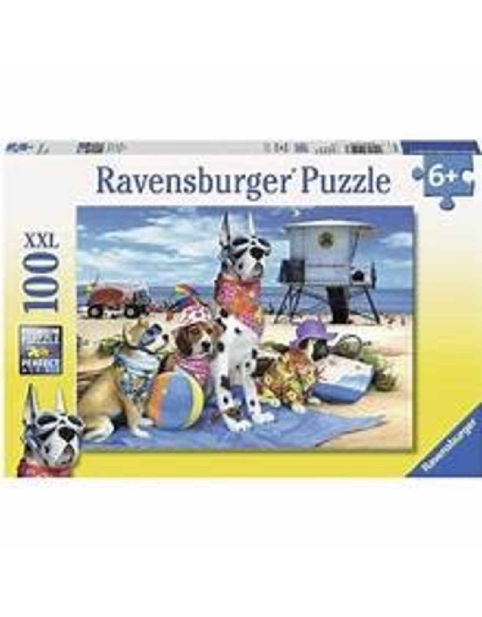 No Dogs on the Beach 100 pc