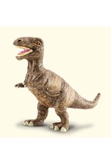 Tyrannosaurus Rex Baby