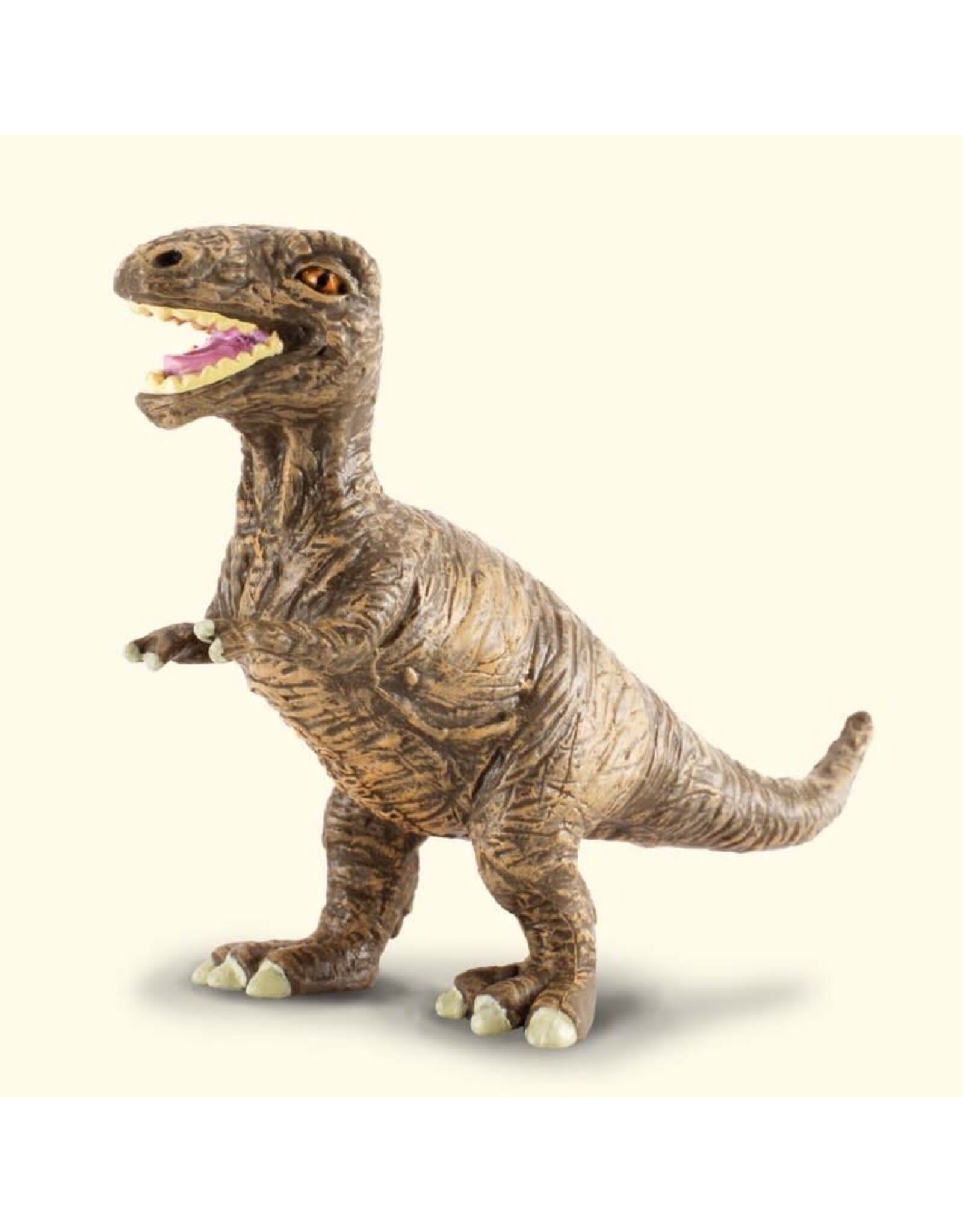 Tyrannosaurus Rex Baby