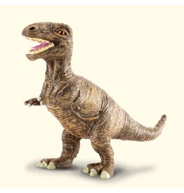 Tyrannosaurus Rex Baby