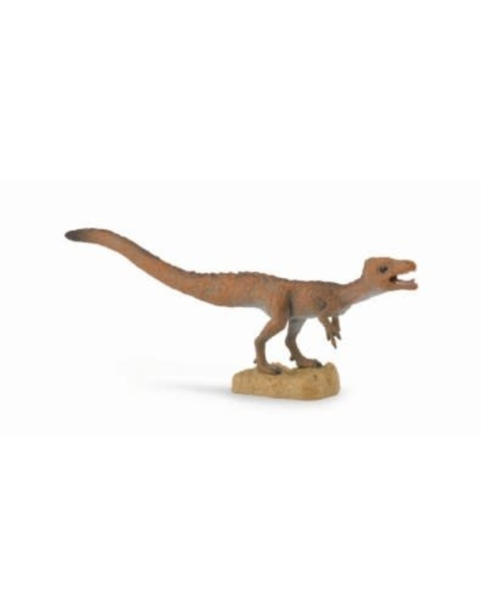 Sciurumimus