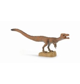 Sciurumimus