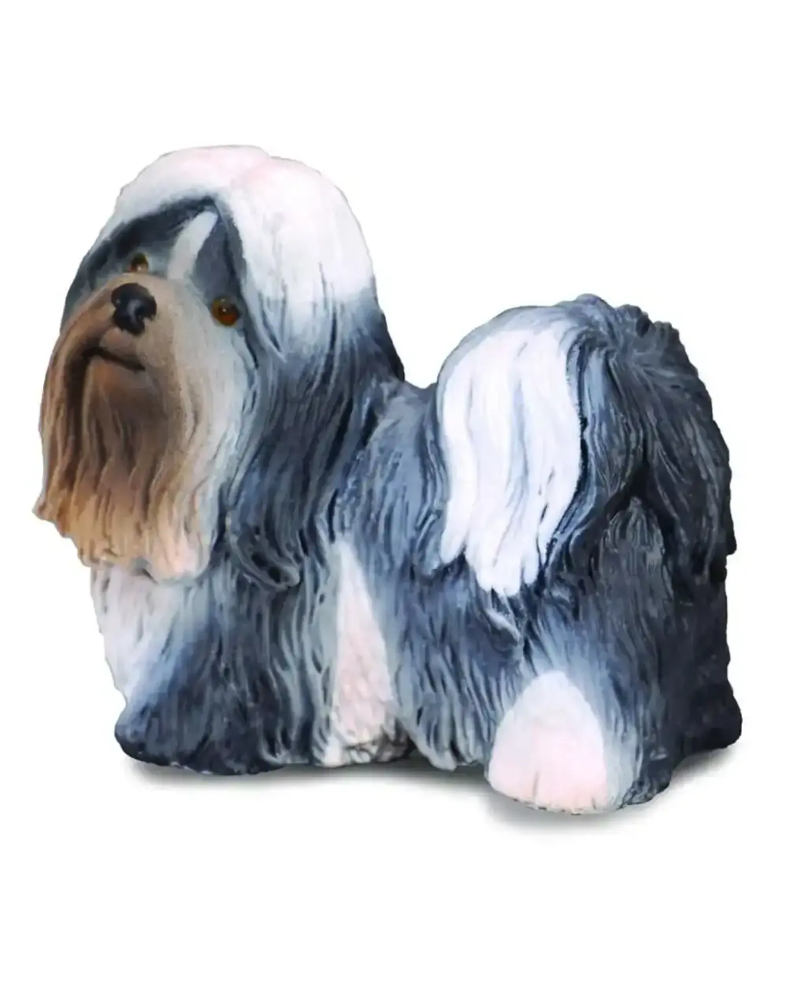 Dog: Shih Tzu