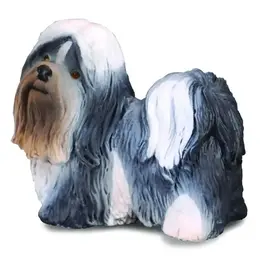 Dog: Shih Tzu