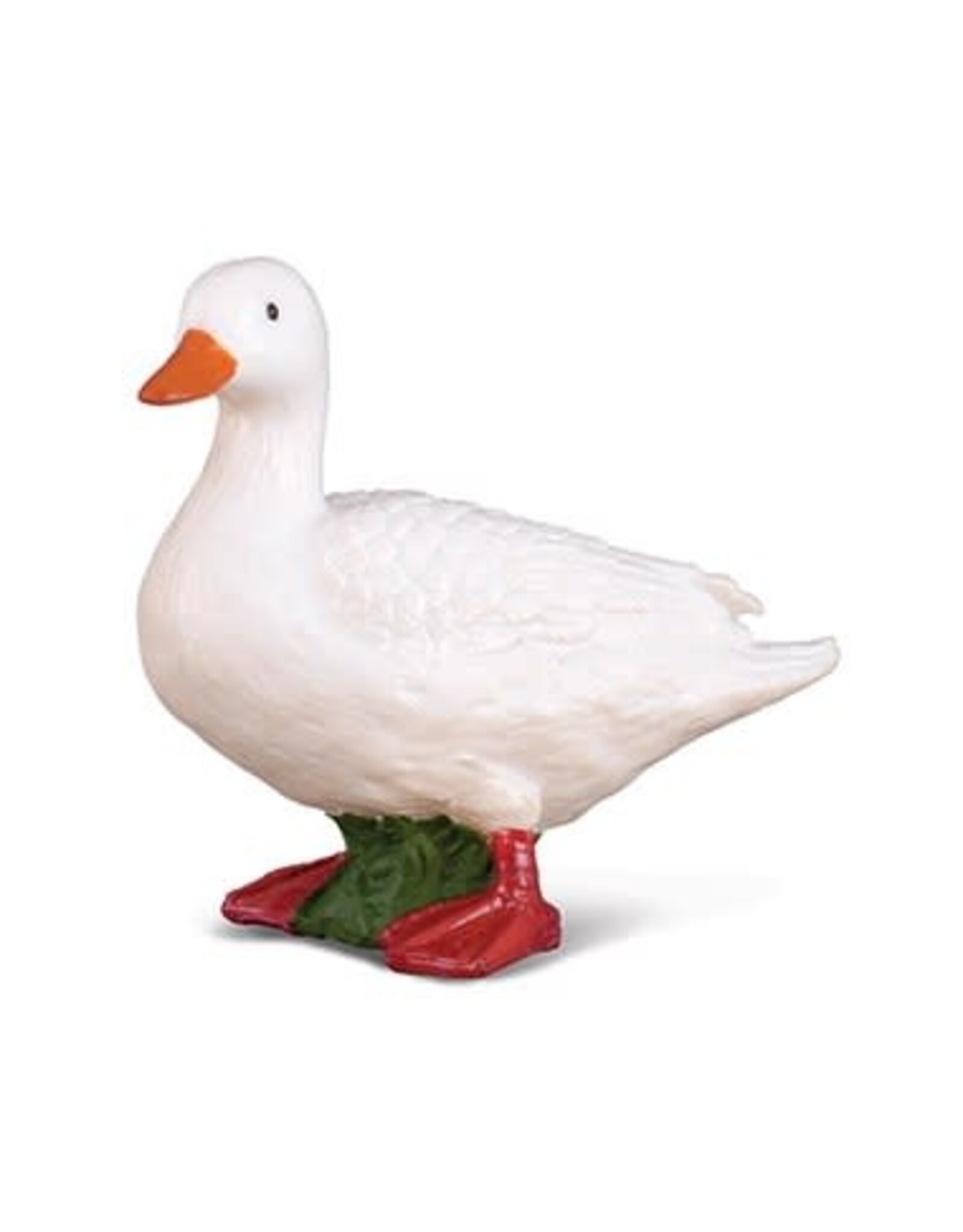 White Duck