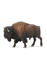 American Bison
