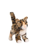Tashette Bengal Cat