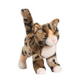 Tashette Bengal Cat