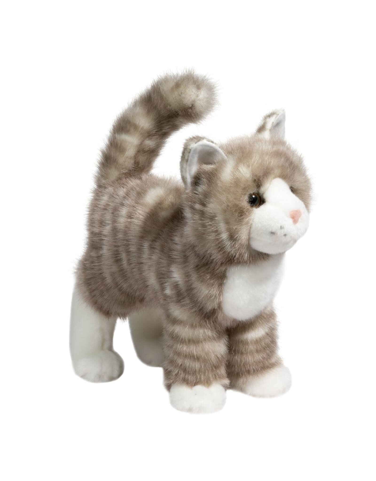 Zipper Gray Tabby