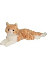 Mango Orange Cat