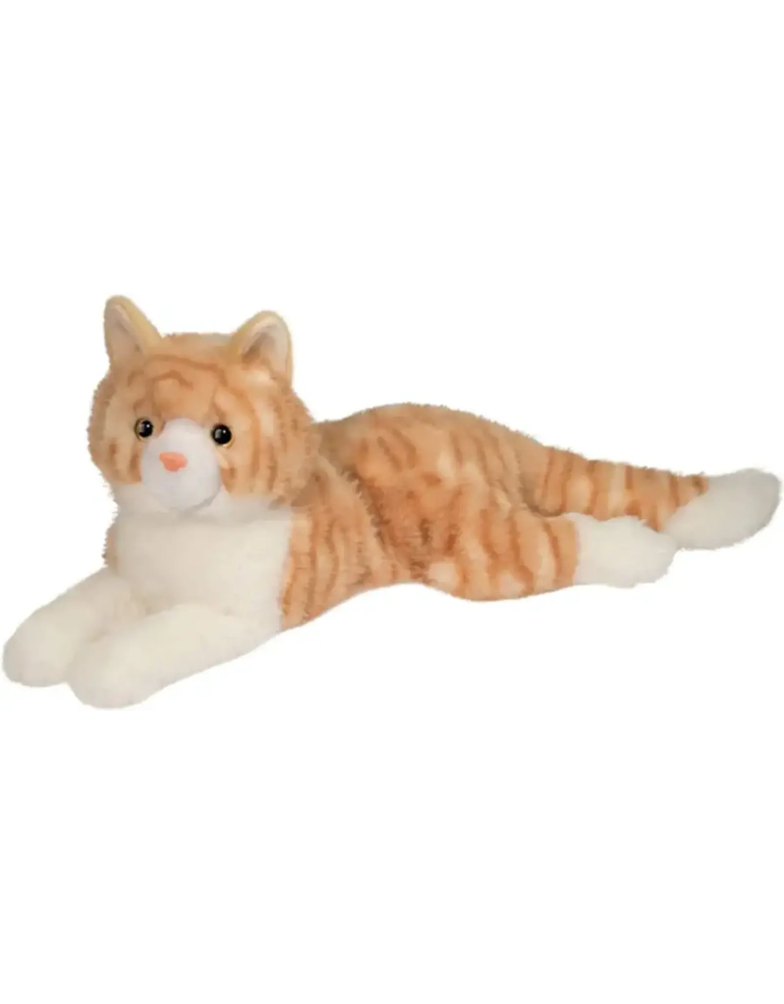 Mango Orange Cat
