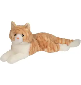 Mango Orange Cat