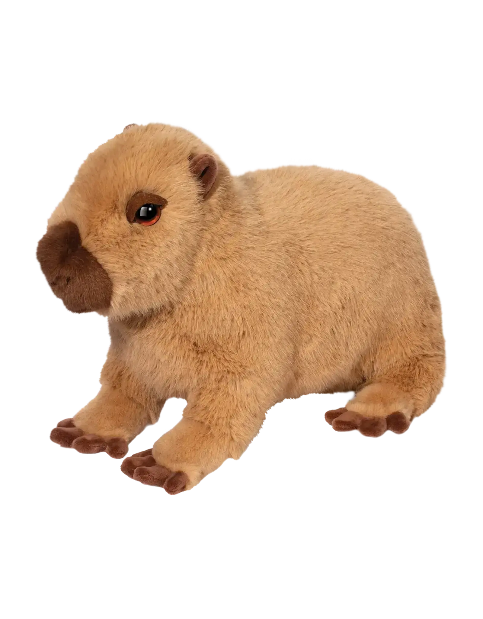 Chattie Capybara Soft