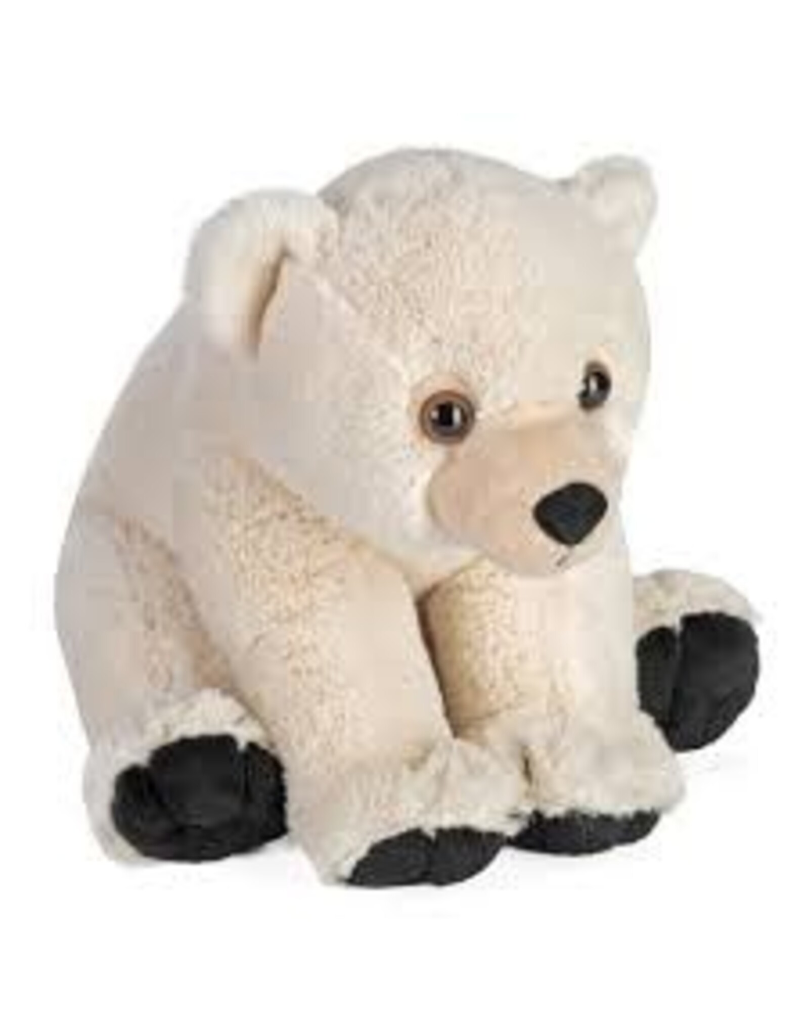 Polar Bear Baby