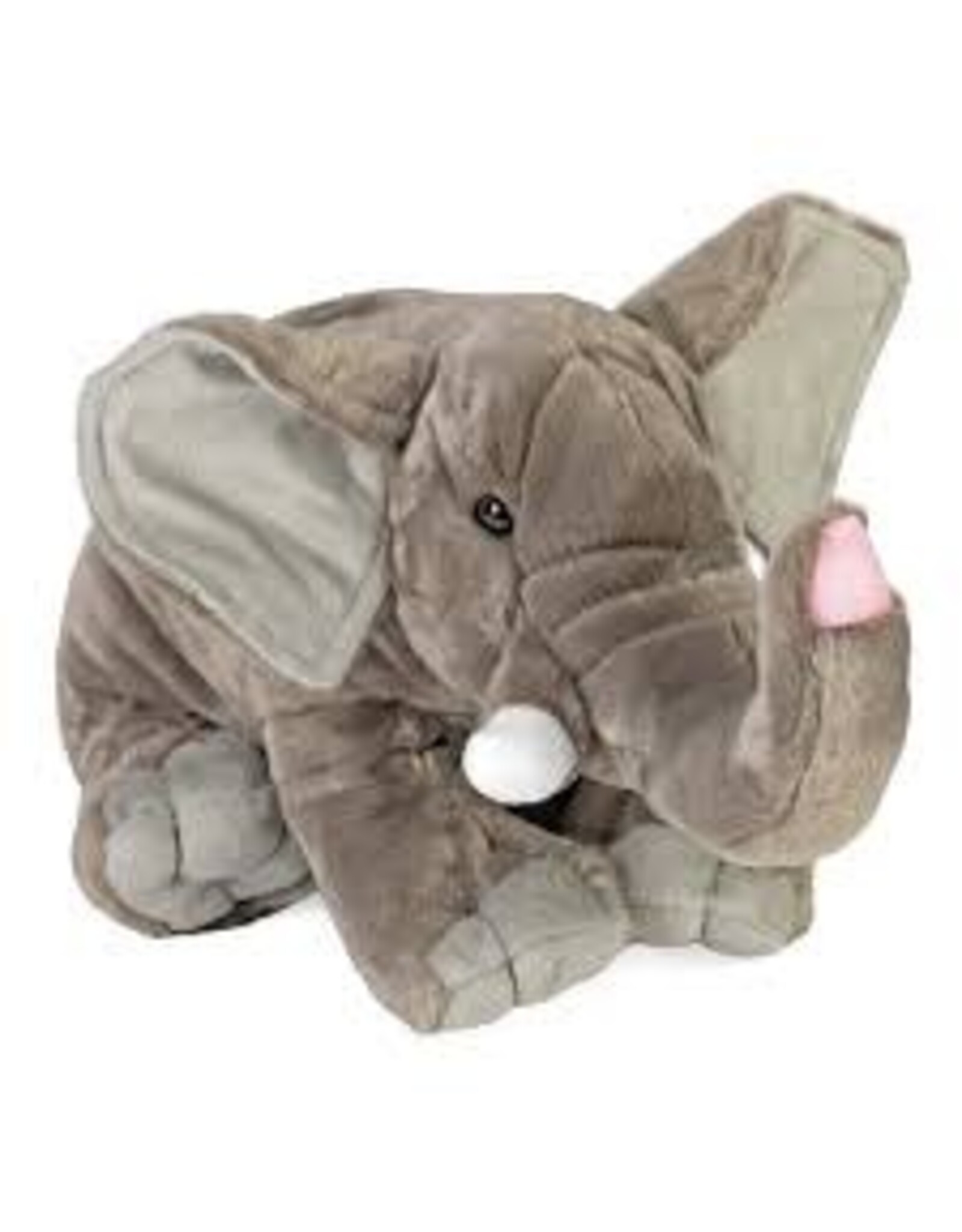 African Elephant