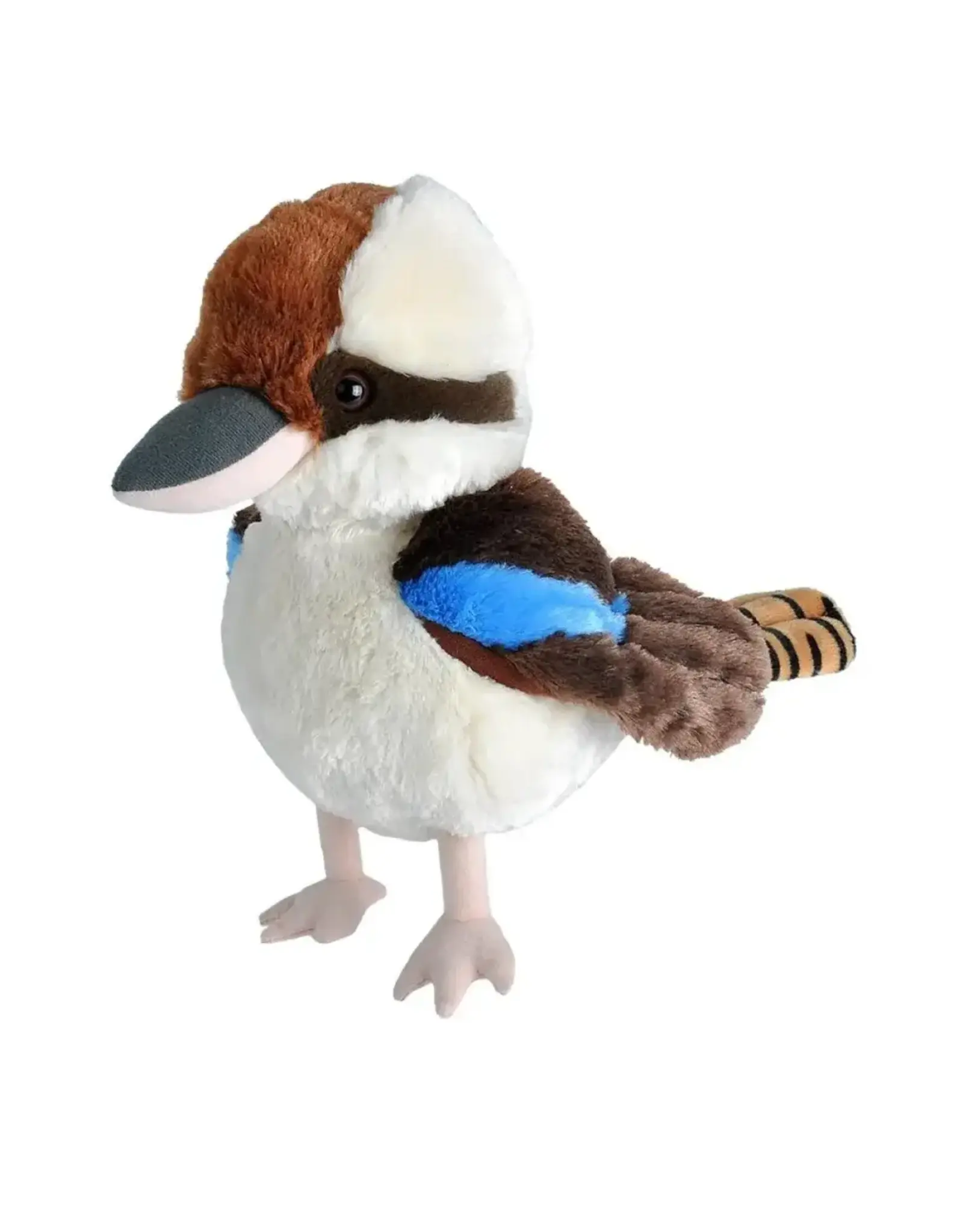 Kookaburra