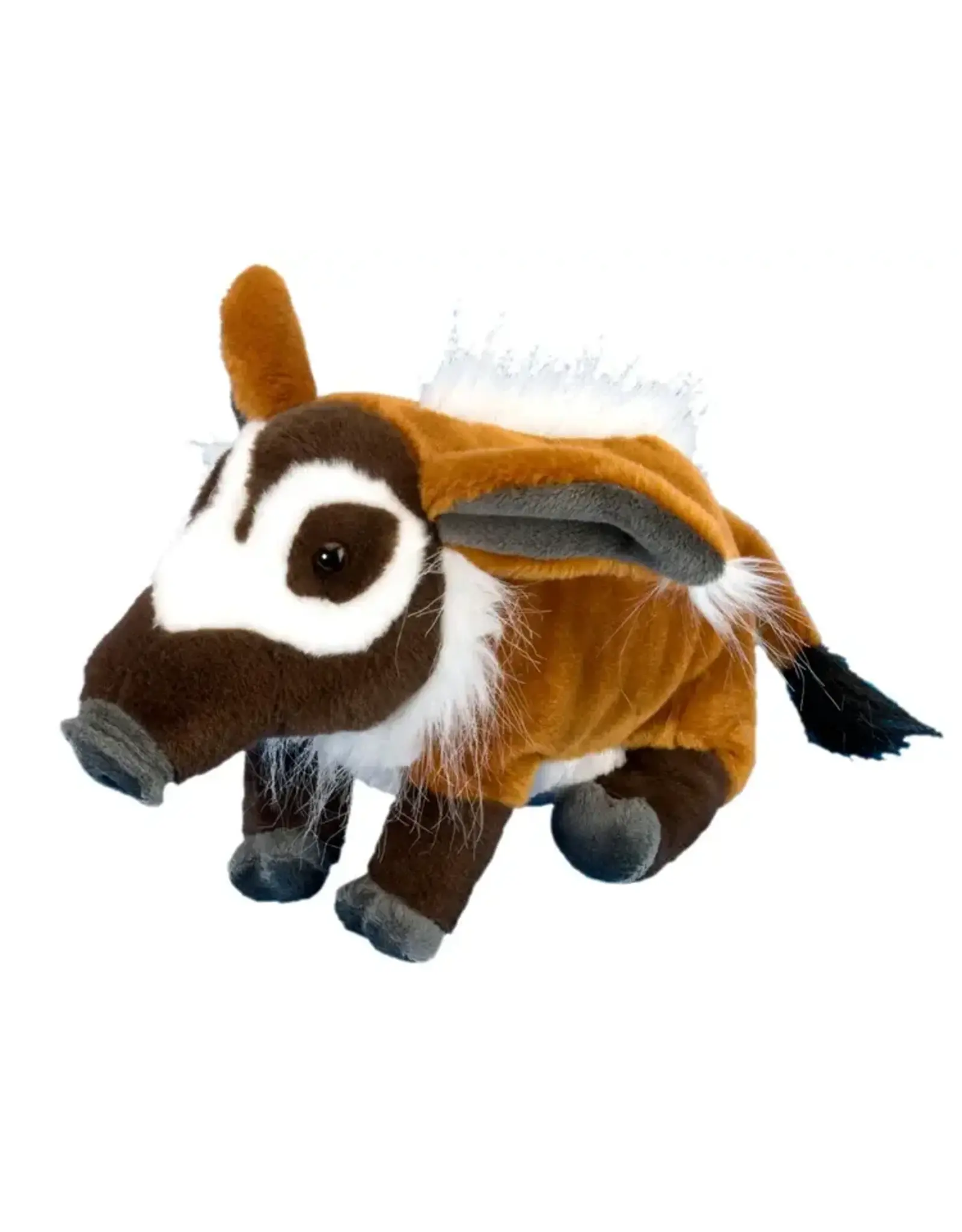 Red River Hog