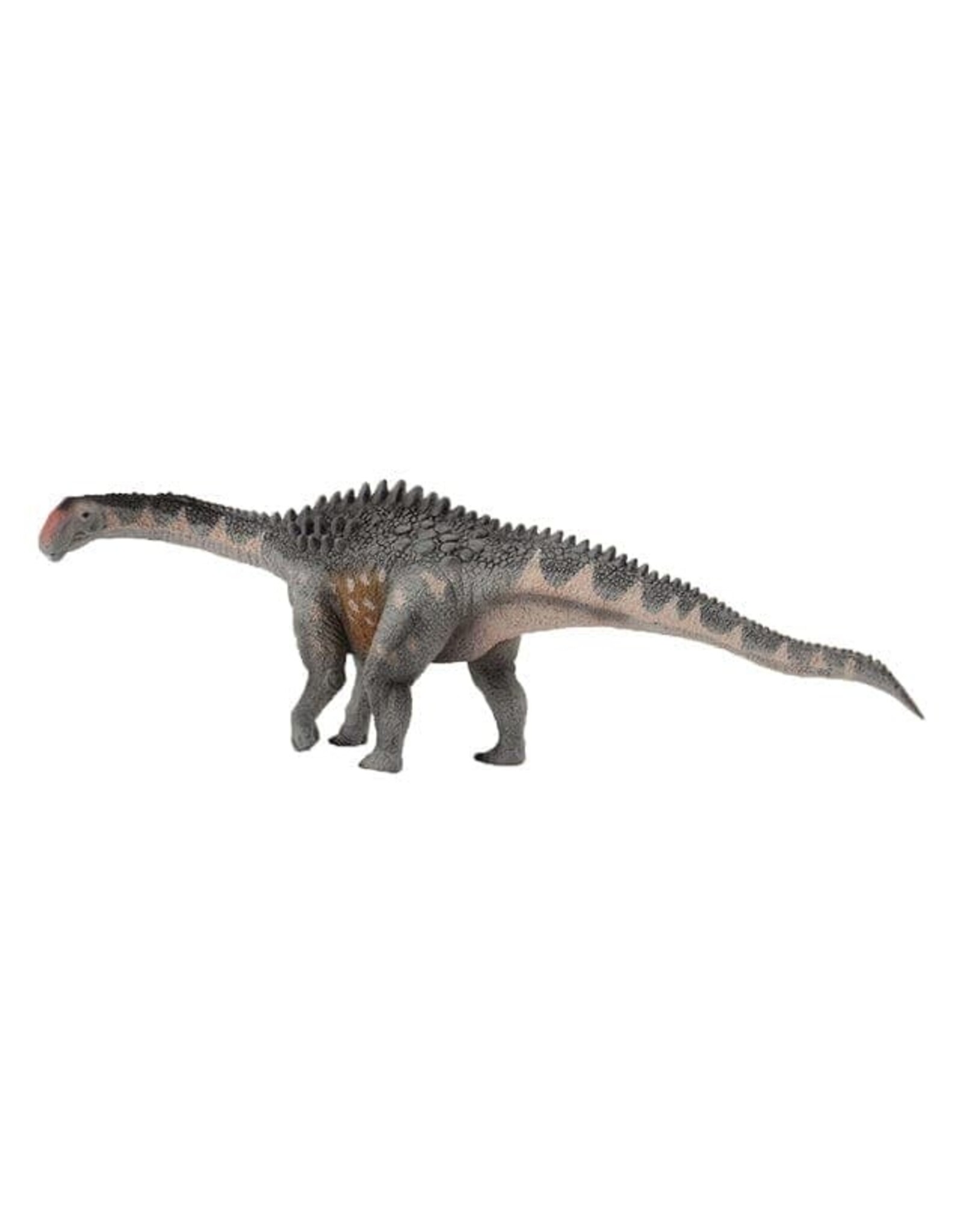 Ampleosaurus