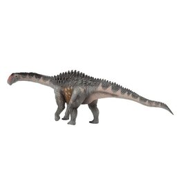Ampleosaurus
