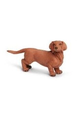 Dachshund