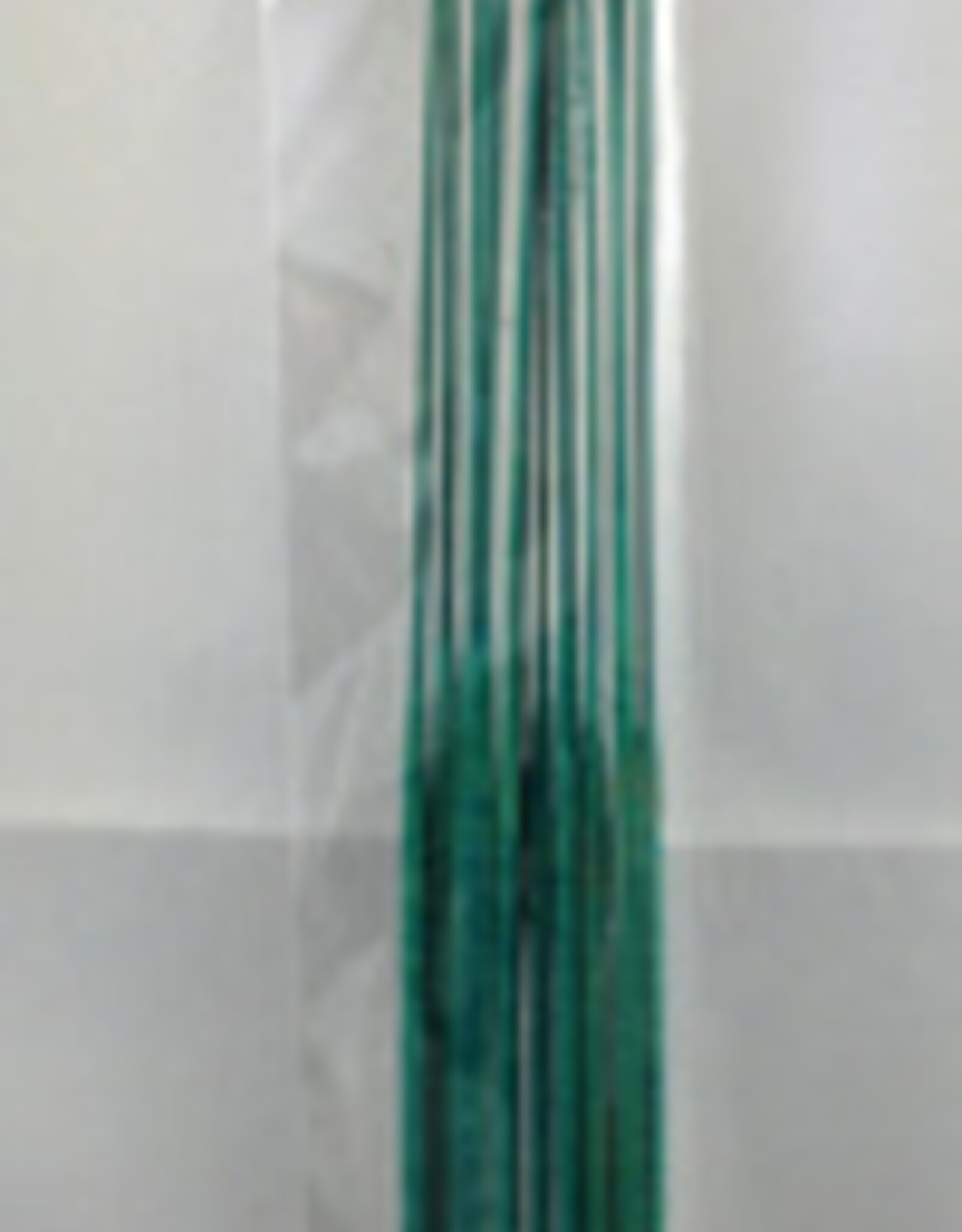 Incense Moldavite - 12 Sticks