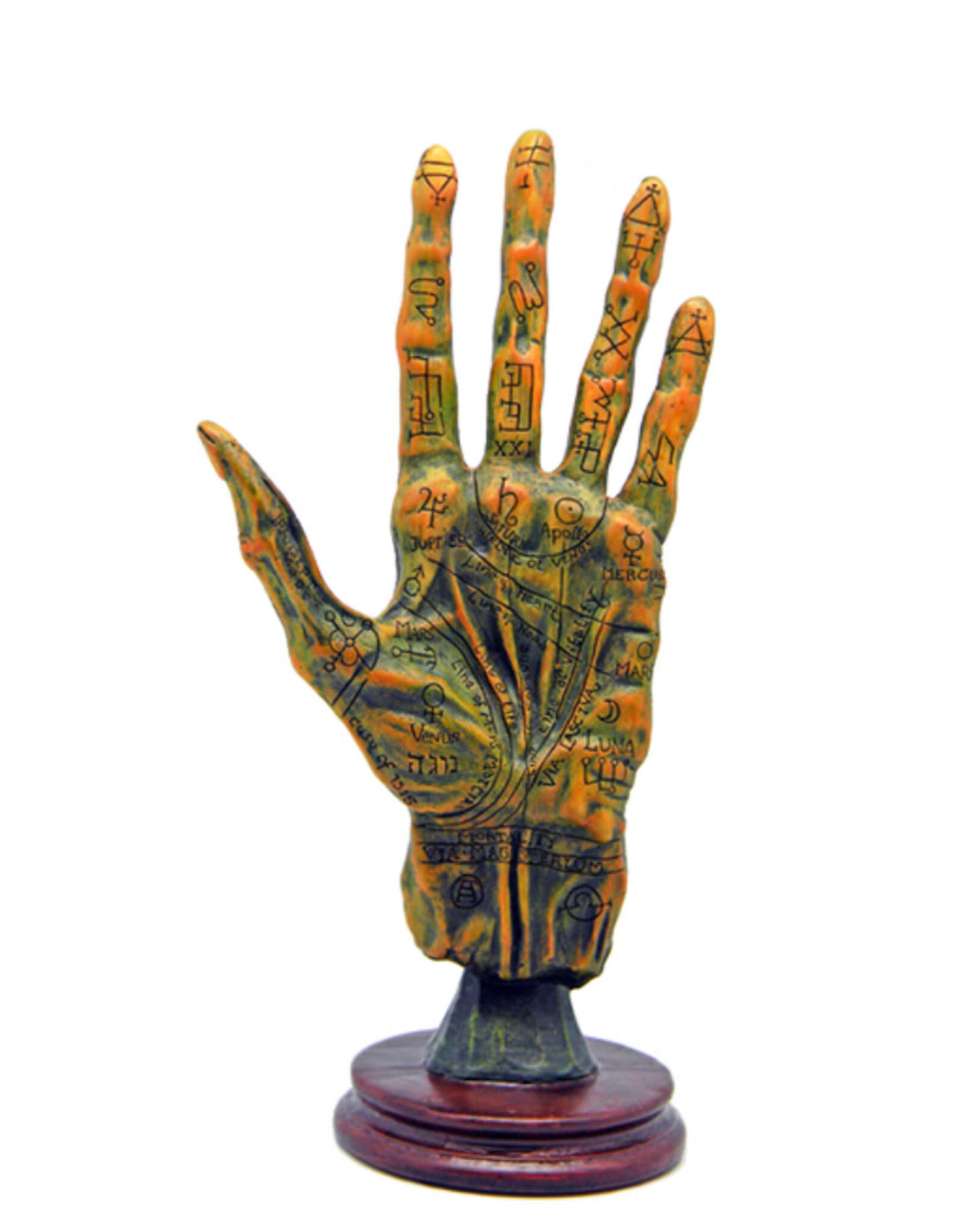 Alchemy Palmistry Hand