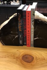 Petrified Wood Book Ends Large