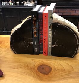 Petrified Wood Book Ends Large
