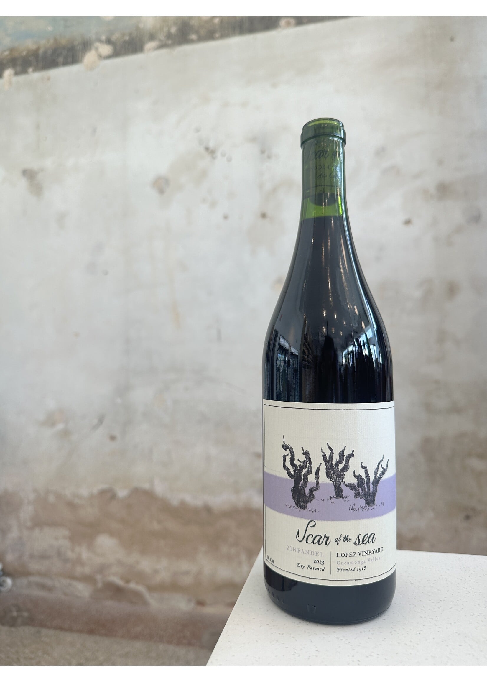 Scar of the Sea Lopez Vineyard Old Vine Zinfandel