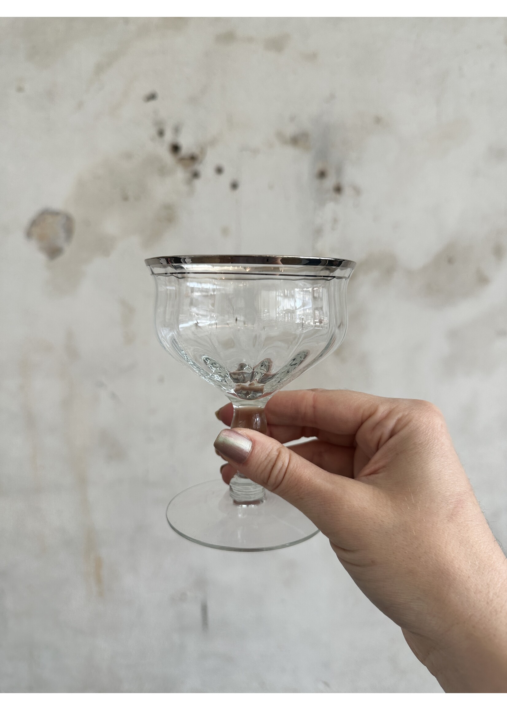 ATLVNTG Vintage Silver Rim Coupe Glasses - Set of Two