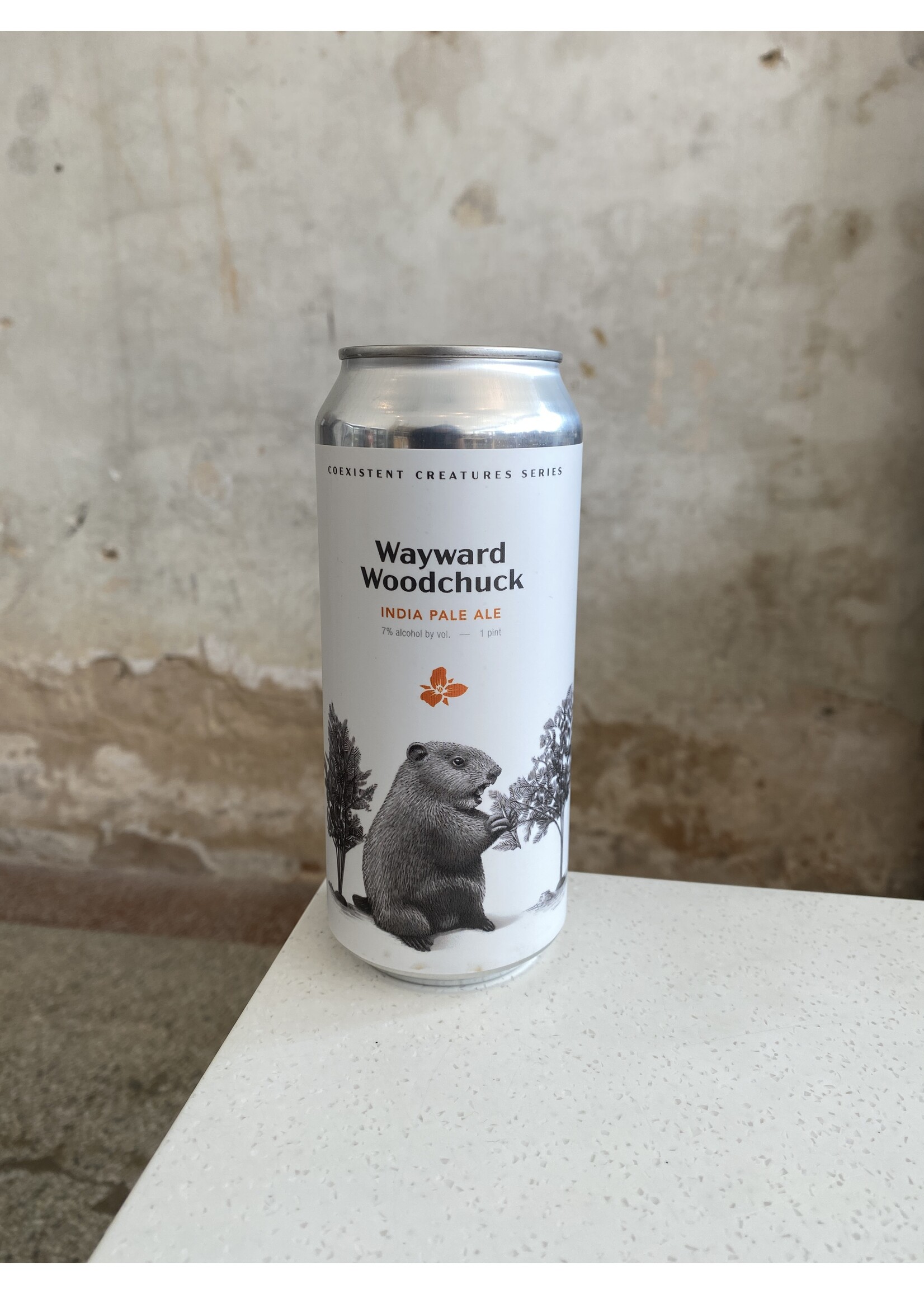 Trillium Wayward Woodchuck IPA 16oz.