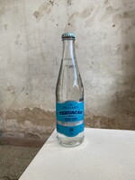 Tehuacán Brillante Sparkling Mineral Water 12oz