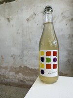 Casal de Ventozela 'Pseudonimo' Pet-Nat