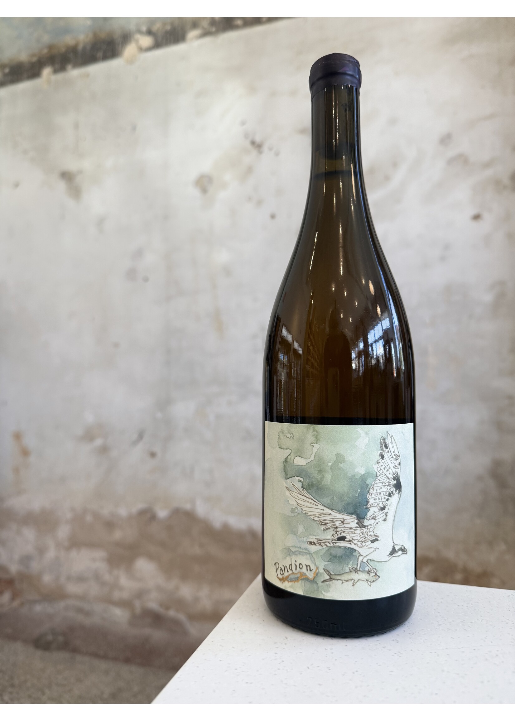 Hiyu 'Pandion' Columbia Gorge White