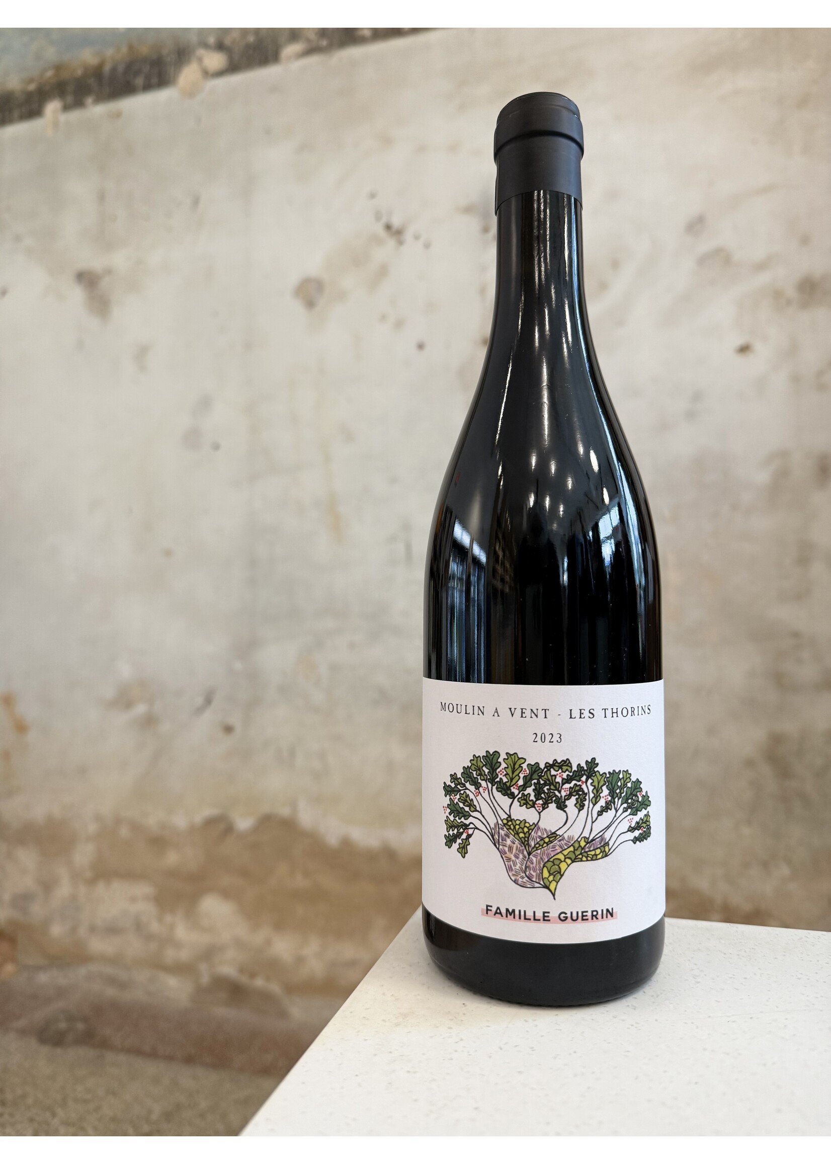 Famille Guerin Moulin-à-Vent Les Thorins