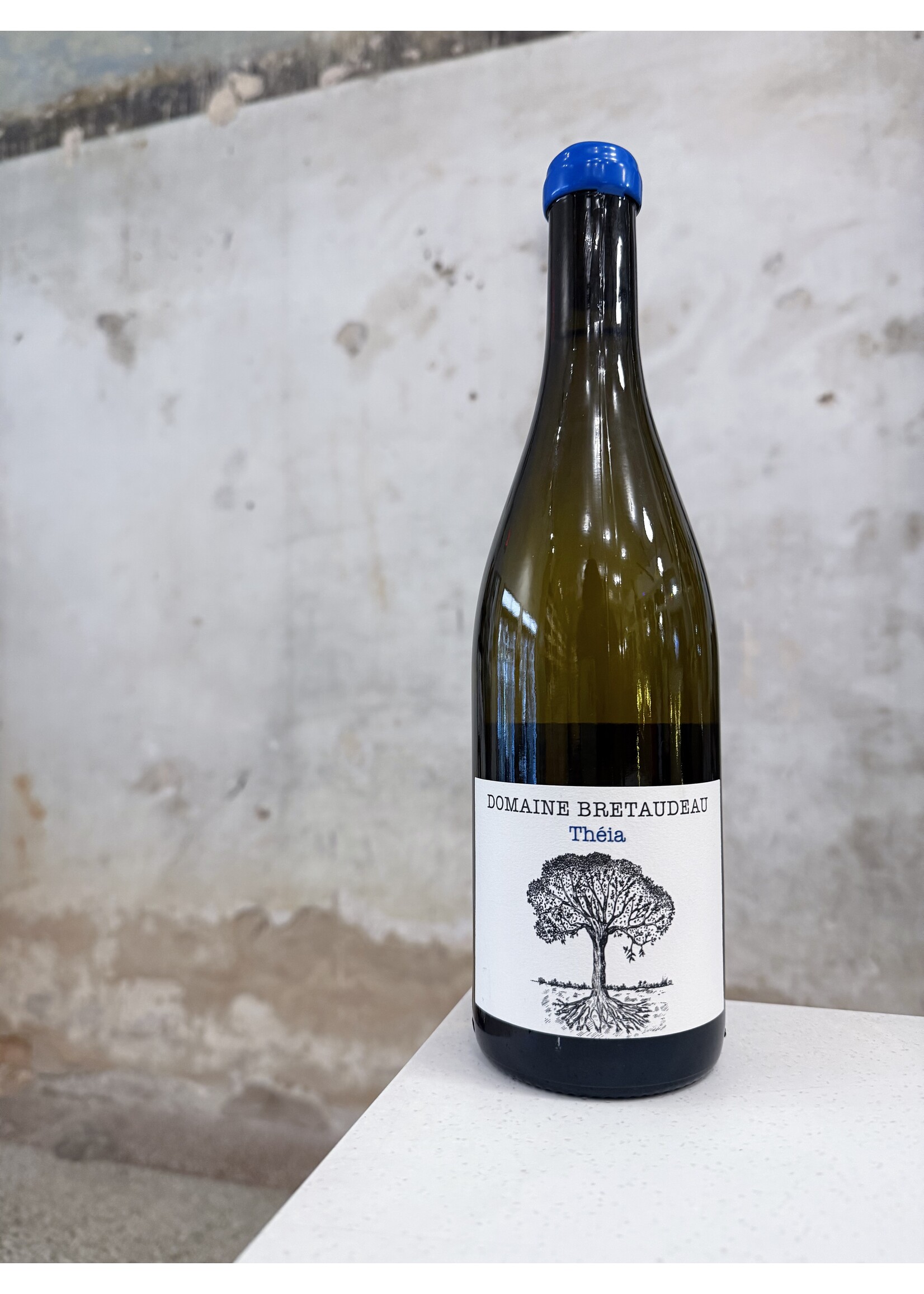 Jerome Bretaudeau 'Théia' Muscadet