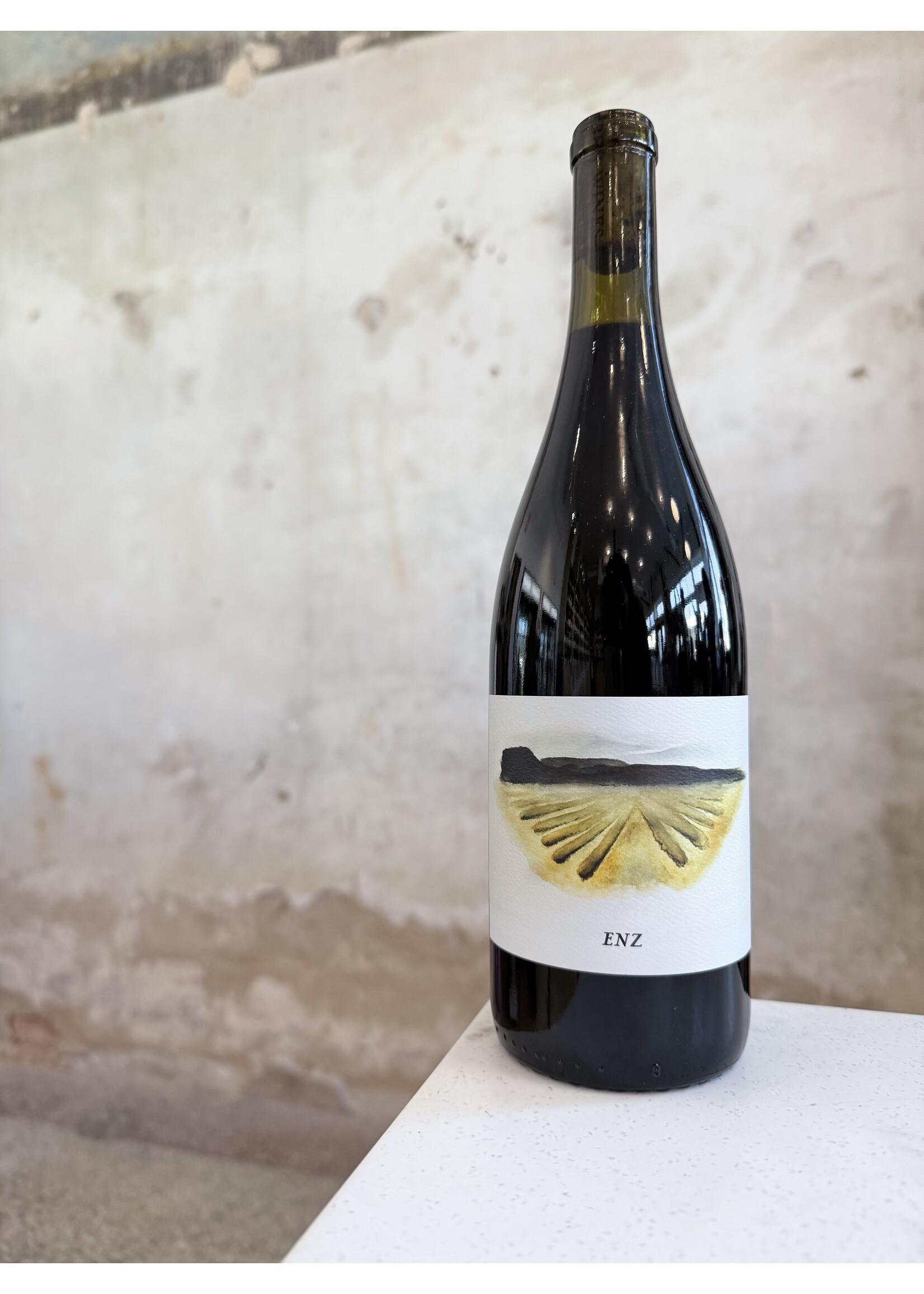 Brij Enz Vineyard Mourvèdre