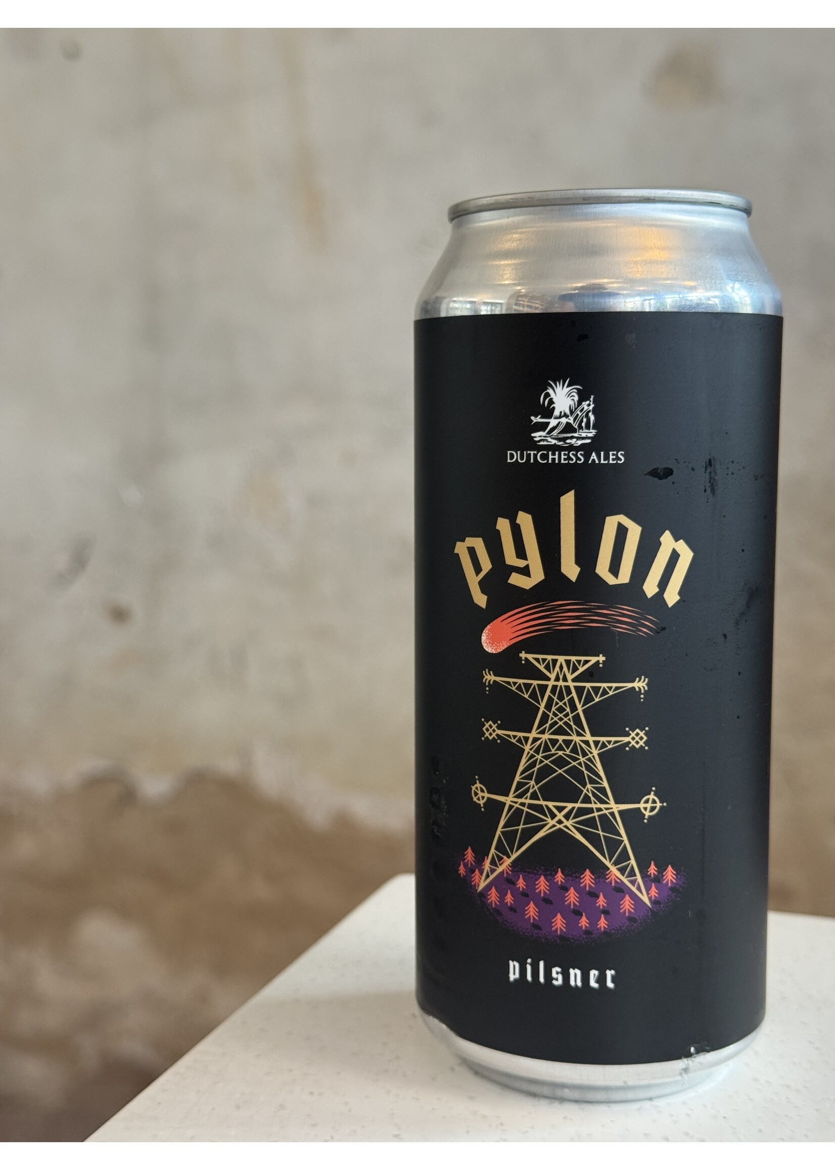 Dutchess Ales 'Pylon' Pilsner 16oz.