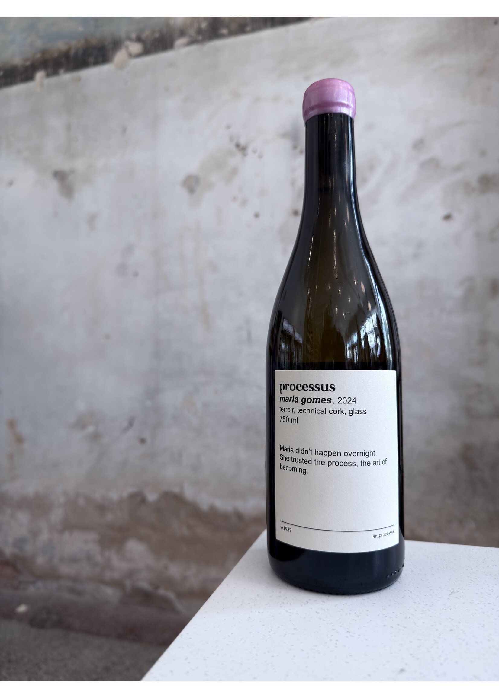 Processus Maria Gomes