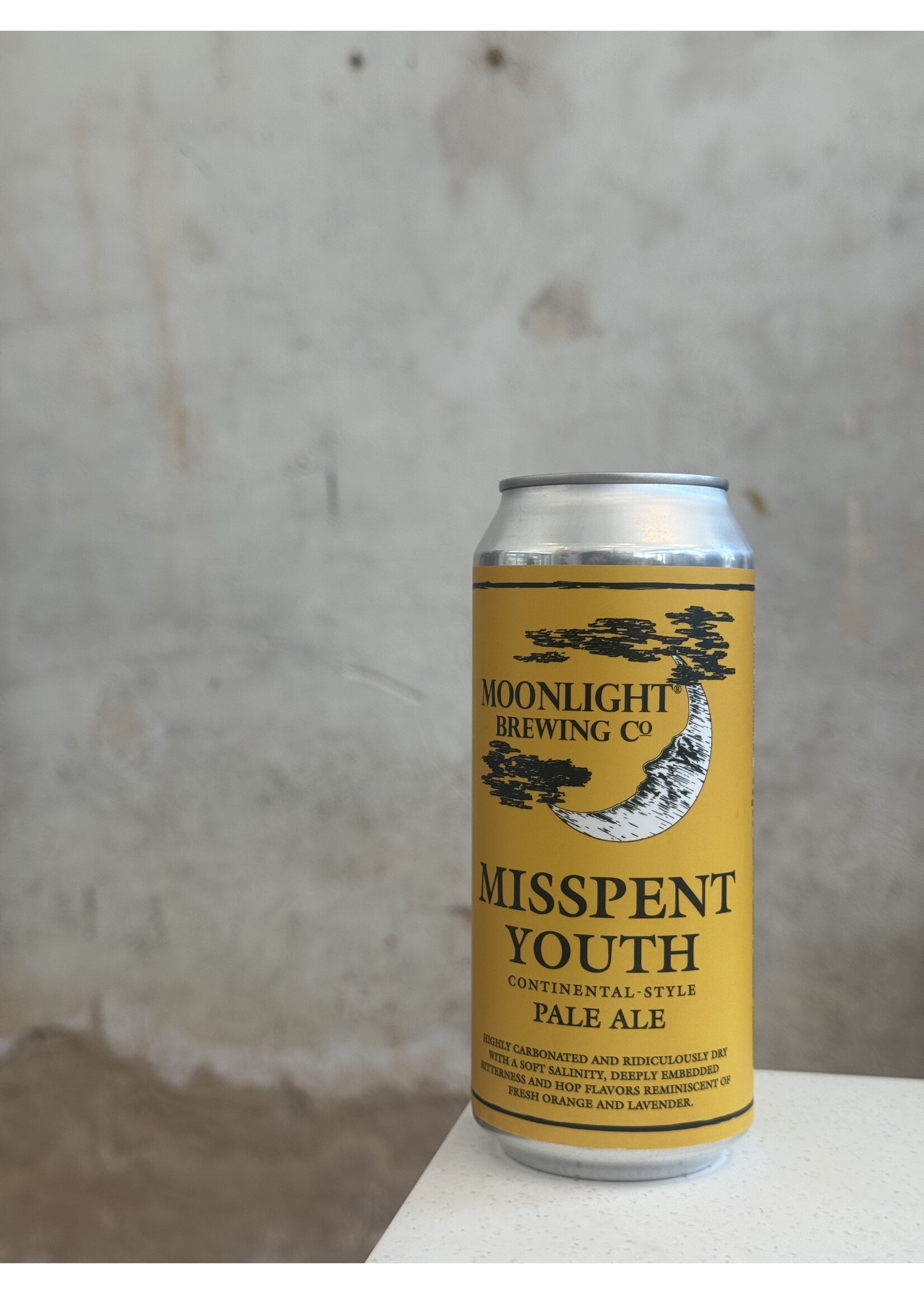 Moonlight Brewing Co. 'Misspent Youth' Pale Ale 16oz