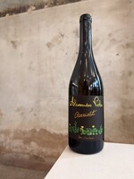 Alessandro Viola 'Carricat'