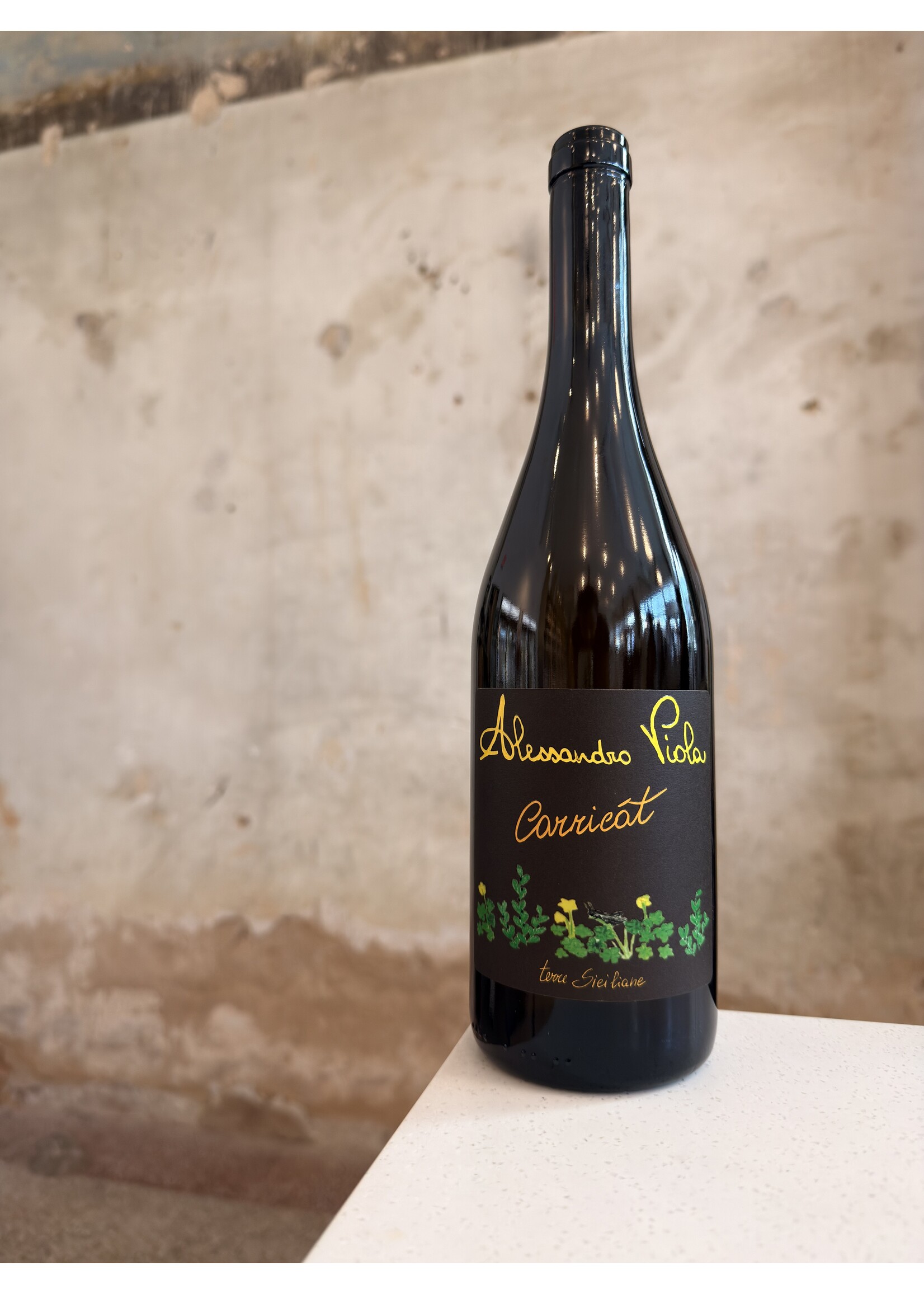 Alessandro Viola 'Carricat'