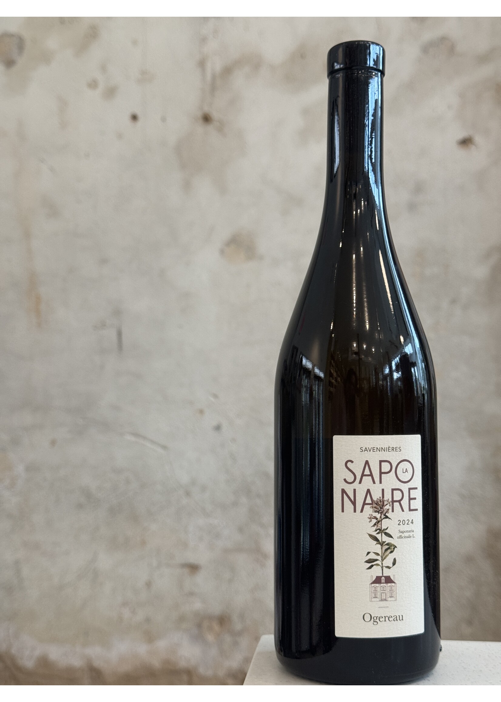 Domaine Ogereau Savennières 'La Saponaire'