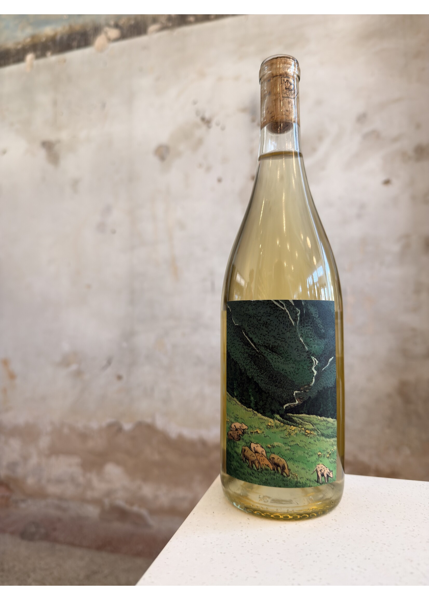 Kelley Fox Grüner Veltliner