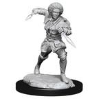 WizKids Kaya (90275)